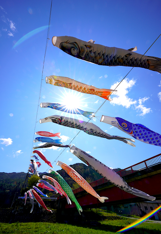 久須母のこいのぼり